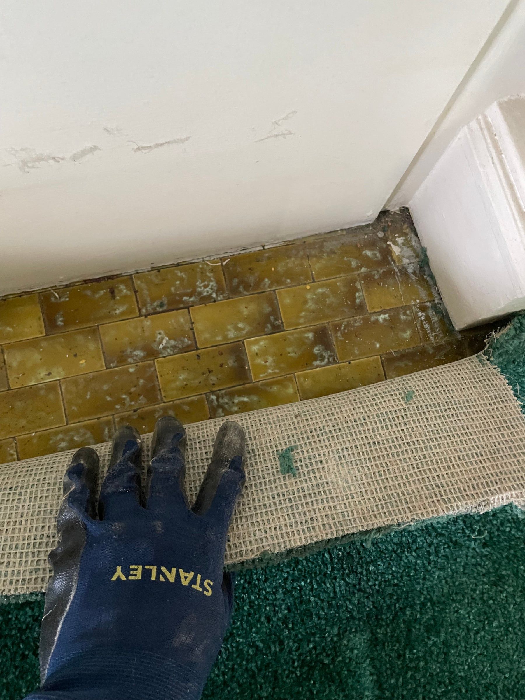 Original amber glazed tile uncovered along the wall as a gloved hand pulls back green carpet